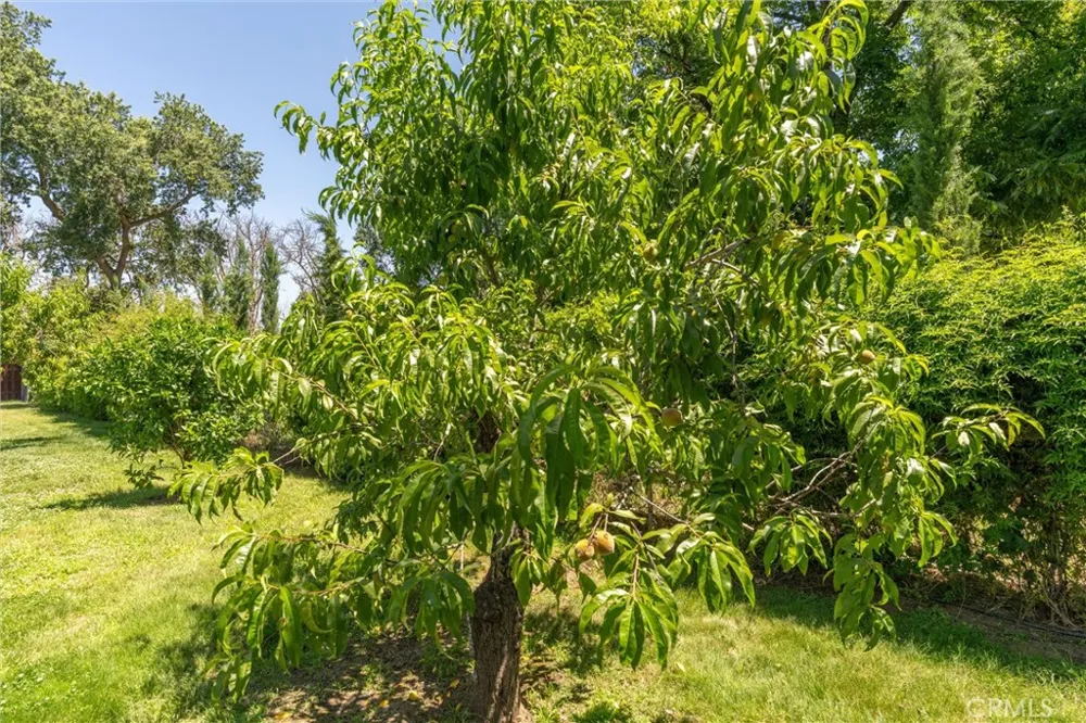 2034 Vista Lane Durham, CA 95938