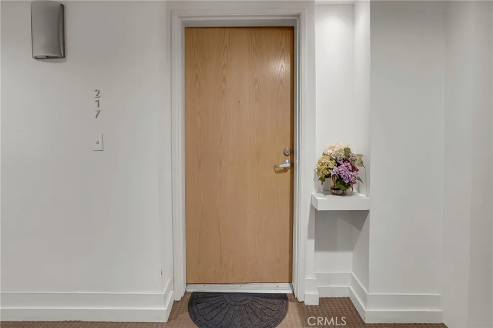 267 S San Pedro #217 Los Angeles, CA 90012