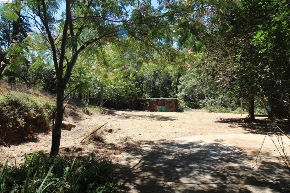 12383 Yankee Hill rd Columbia, CA 95310