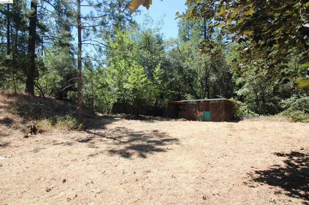 12383 Yankee Hill rd Columbia, CA 95310