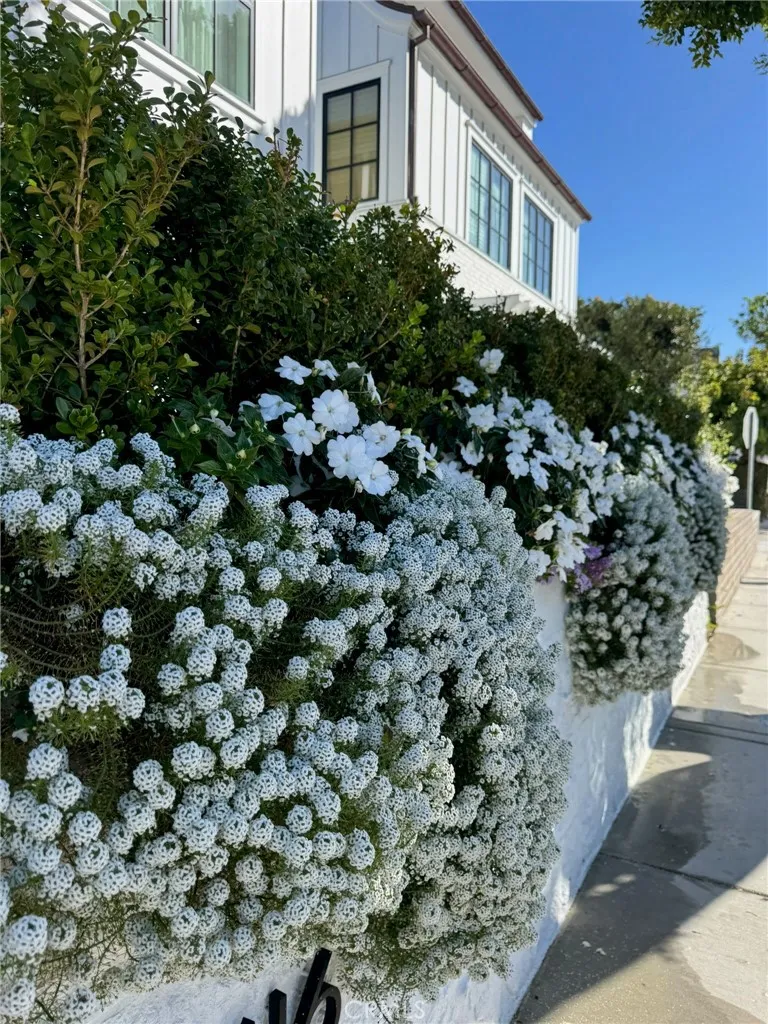 1416 E Balboa Boulevard Newport Beach, CA 92661