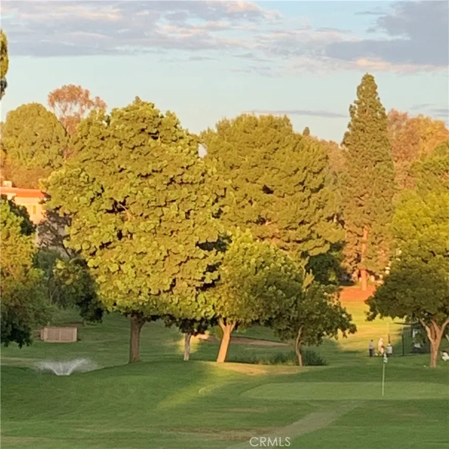 24055 Paseo Del Lago W #411 Laguna Woods, CA 92637