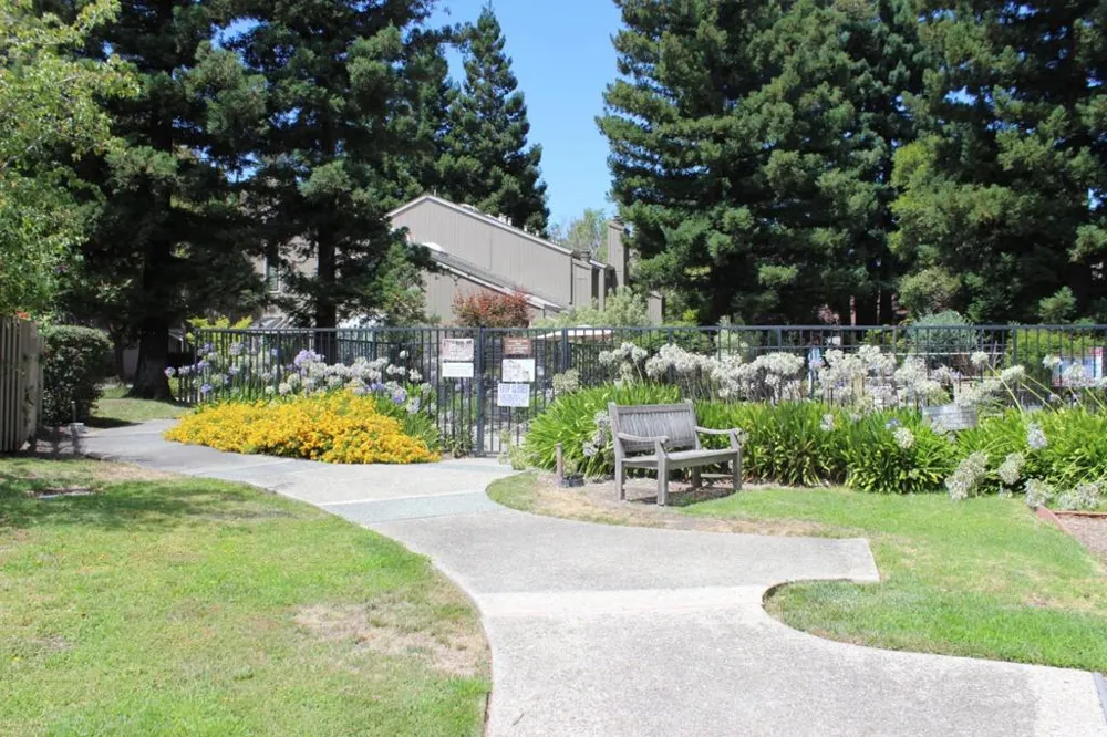 228 Flynn Avenue Mountain View, CA 94043