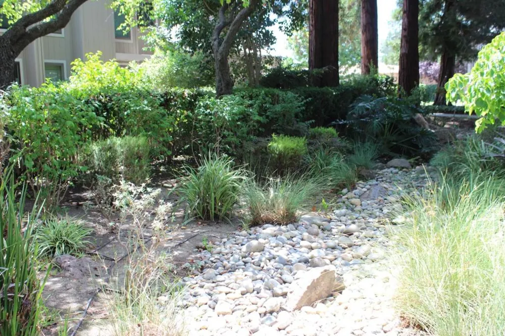 228 Flynn Avenue Mountain View, CA 94043