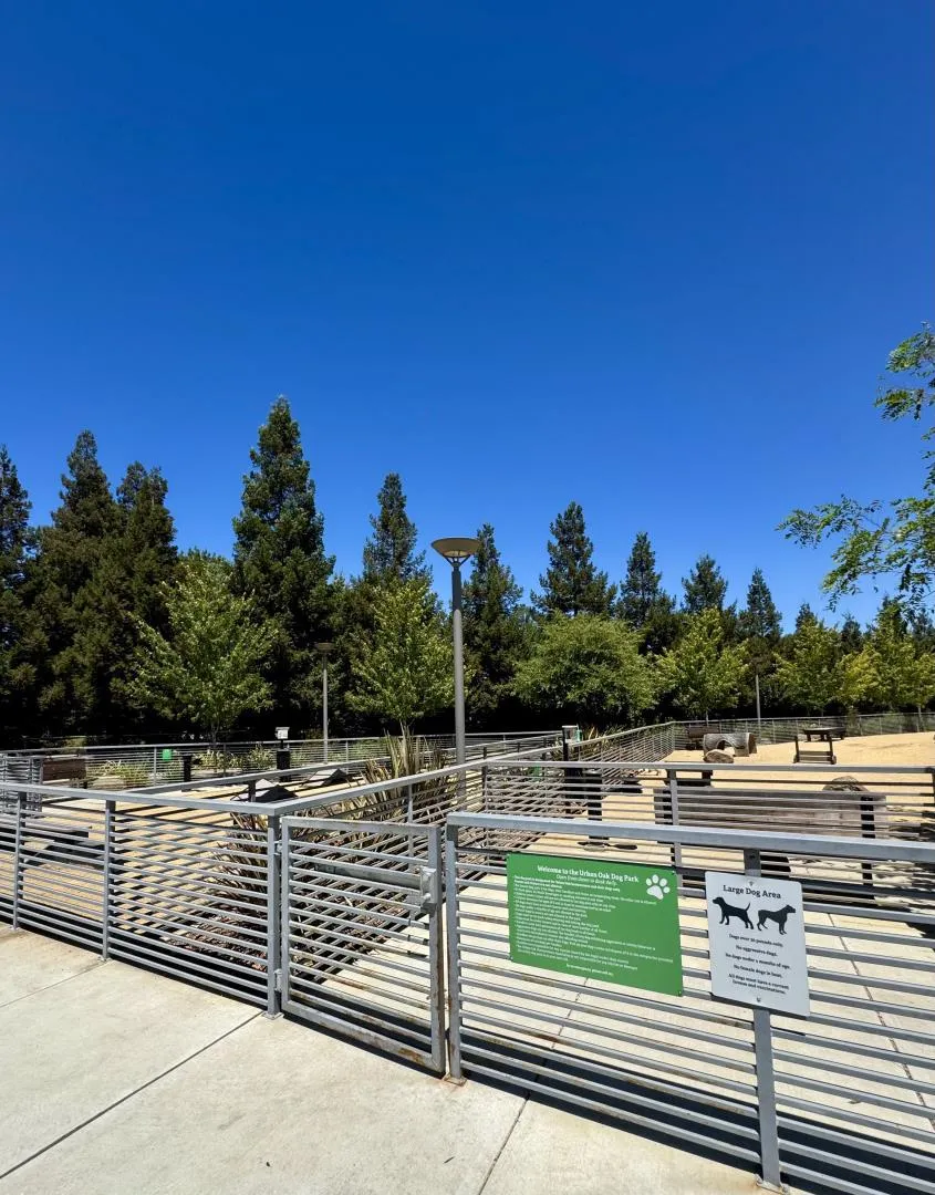6810 Chroma Court San Jose, CA 95119
