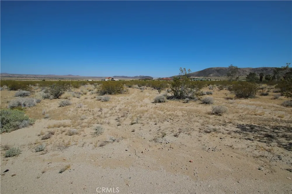 66400 29 Palms Highway Joshua Tree, CA 92252