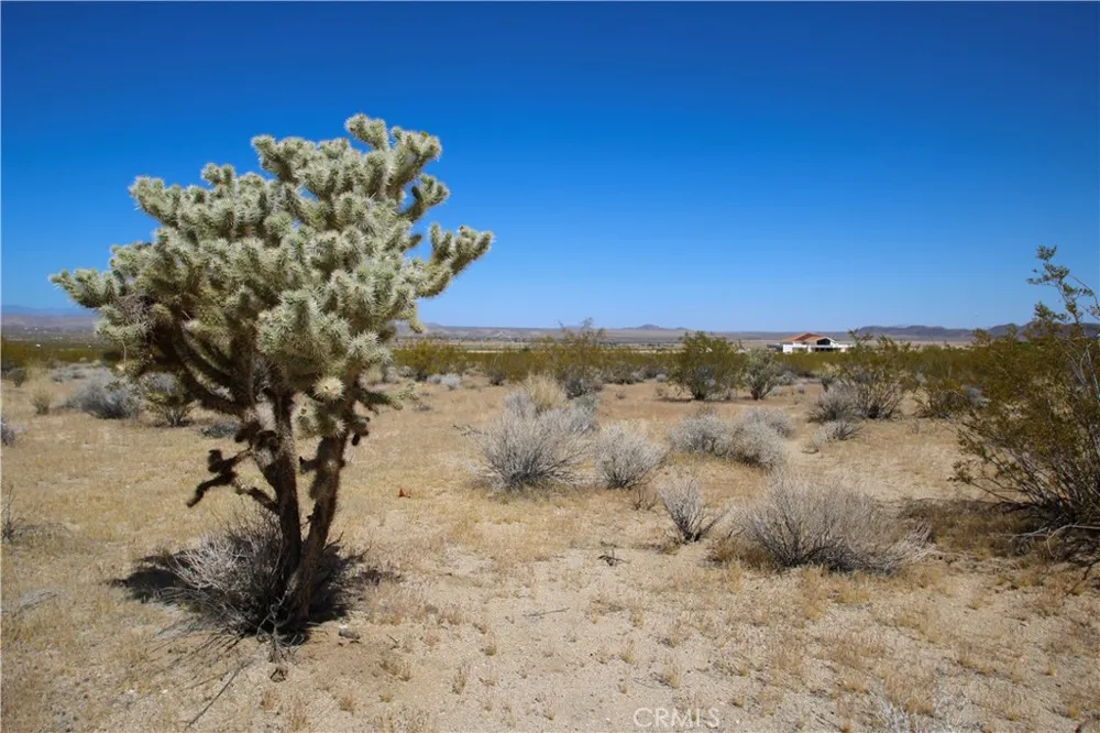 66400 29 Palms Highway Joshua Tree, CA 92252