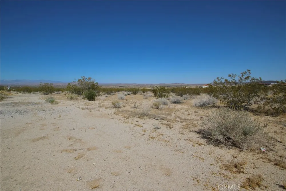 66400 29 Palms Highway Joshua Tree, CA 92252