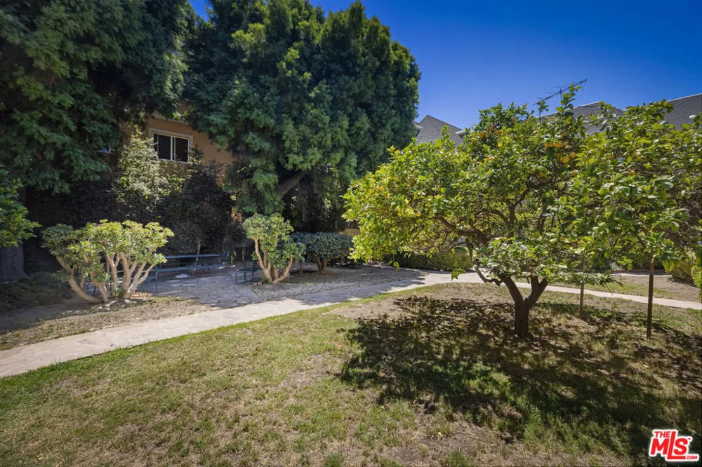 1143 S Westmoreland Avenue #5 Los Angeles, CA 90006