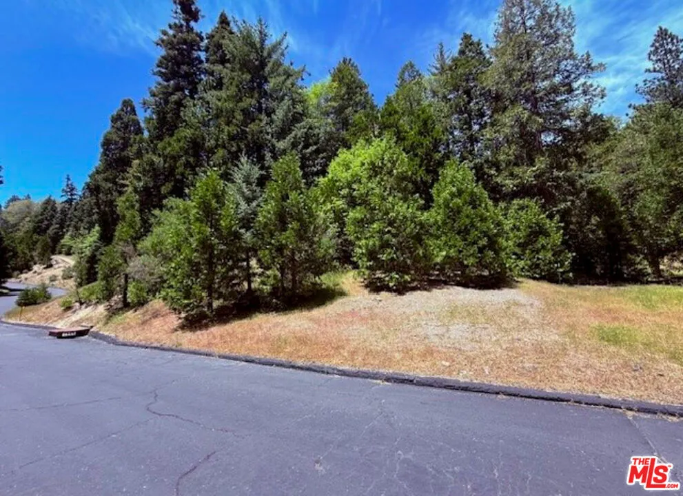 246 Cedar Ridge Drive Lake Arrowhead, CA 92352