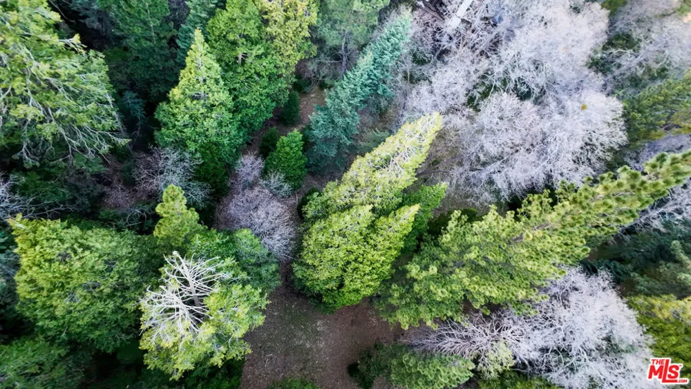 246 Cedar Ridge Drive Lake Arrowhead, CA 92352