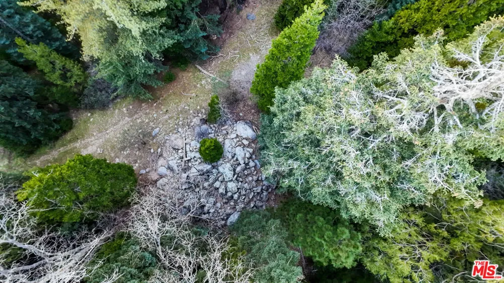 246 Cedar Ridge Drive Lake Arrowhead, CA 92352