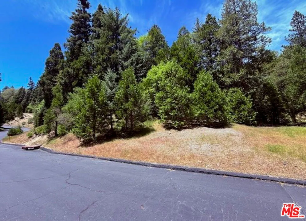 246 Cedar Ridge Drive Lake Arrowhead, CA 92352