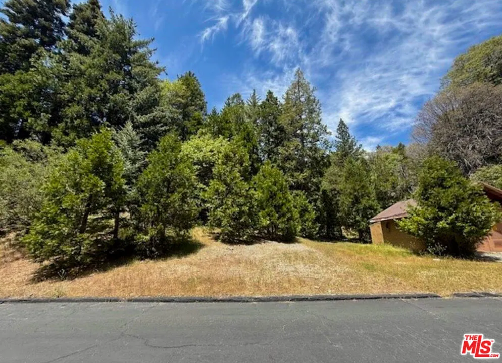 246 Cedar Ridge Drive Lake Arrowhead, CA 92352