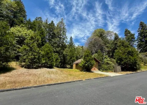 246 Cedar Ridge Drive