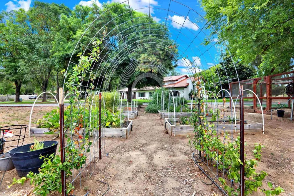 15459 Glentree Road Valley Center, CA 92082