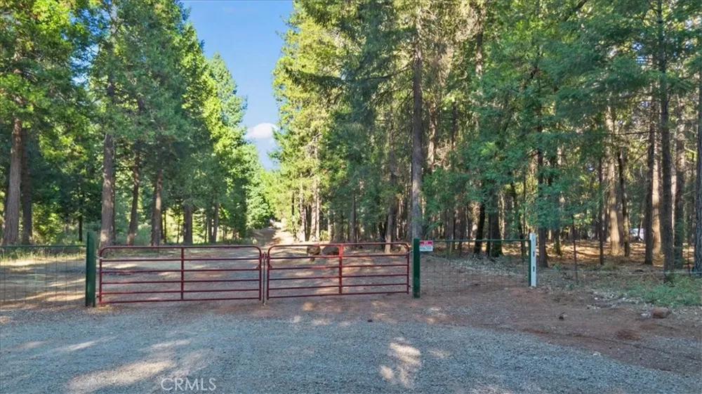 Nimshew Ridge Magalia, CA 95954