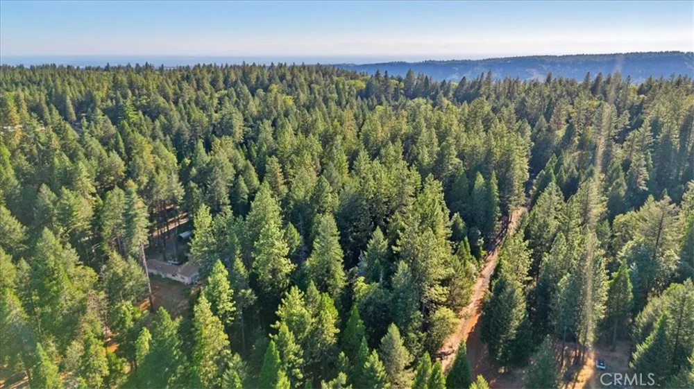 Nimshew Ridge Magalia, CA 95954