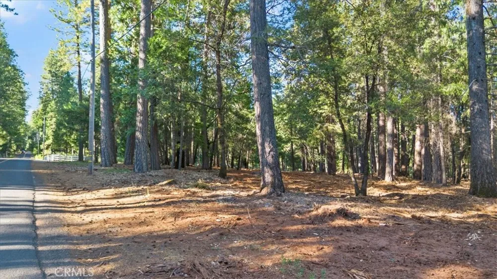 Nimshew Ridge Magalia, CA 95954