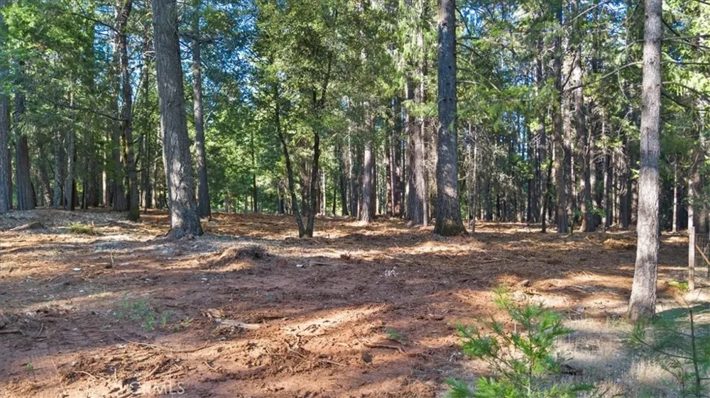 Nimshew Ridge Magalia, CA 95954