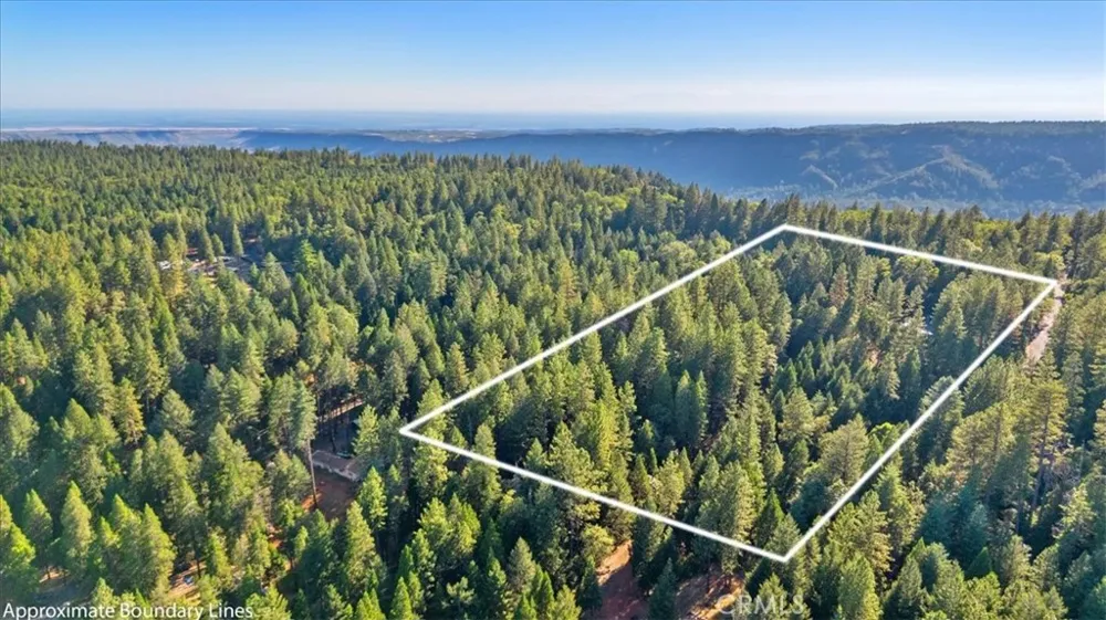 Nimshew Ridge Magalia, CA 95954