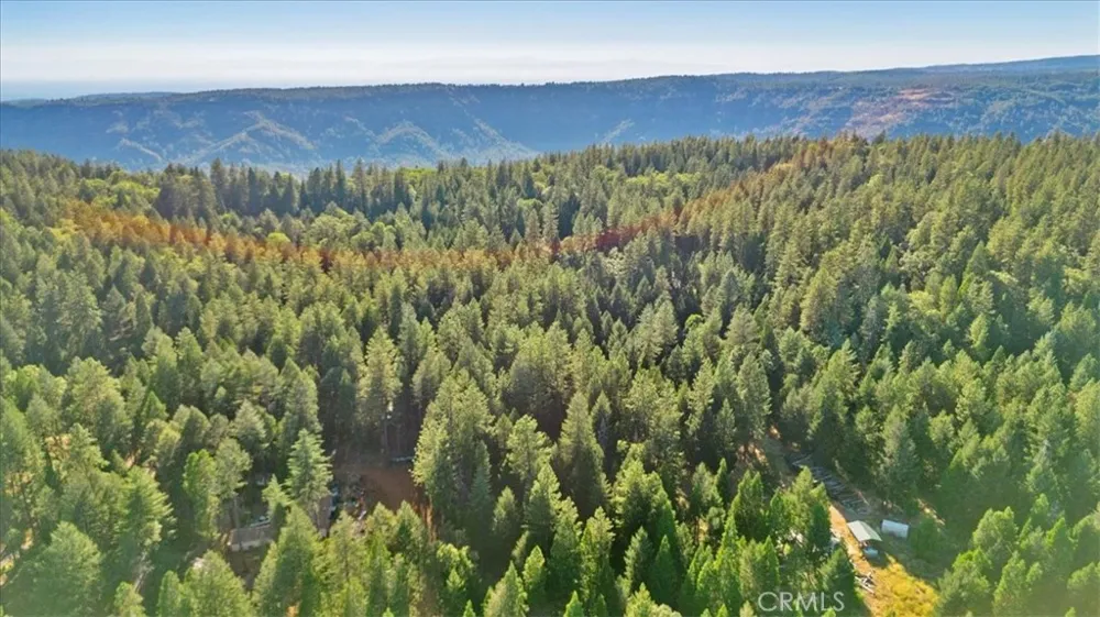 Nimshew Ridge Magalia, CA 95954
