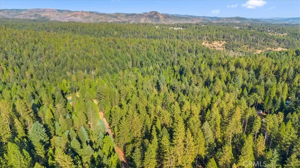 Nimshew Ridge Magalia, CA 95954