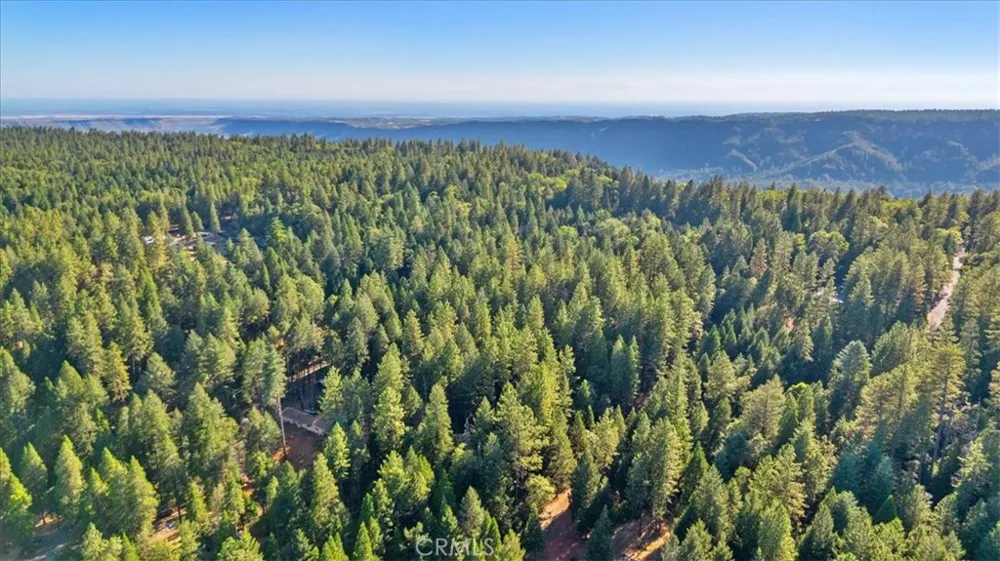 Nimshew Ridge Magalia, CA 95954