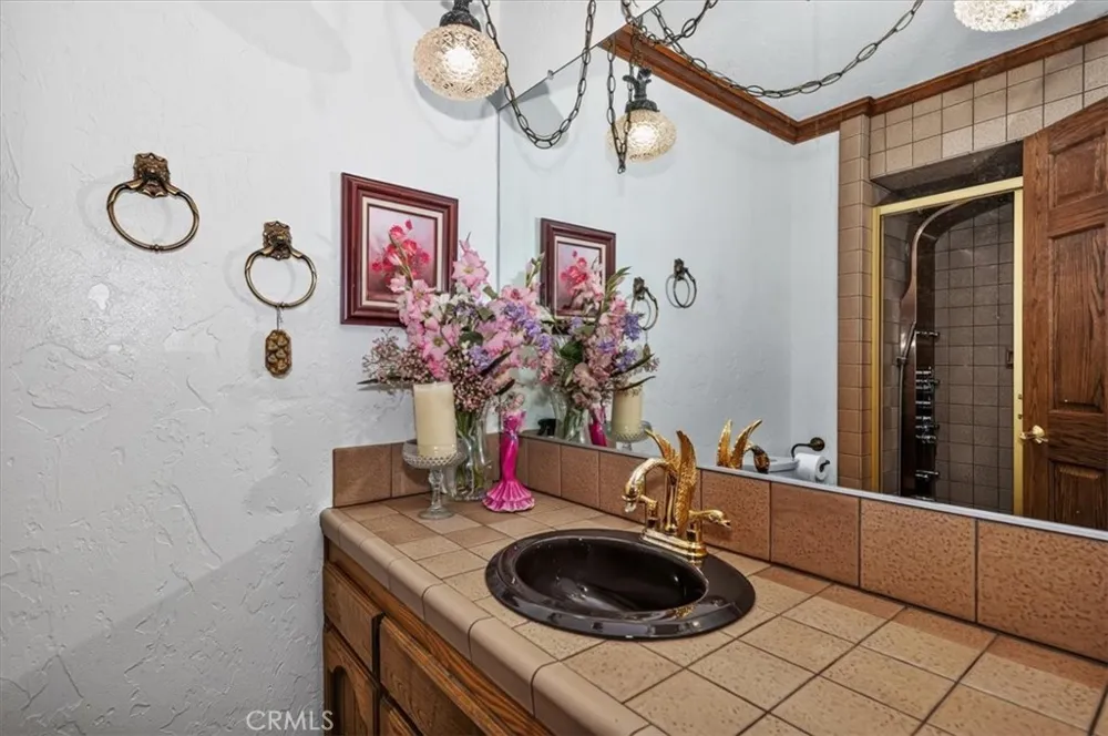 31221 Old City Creek Running Springs, CA 92382