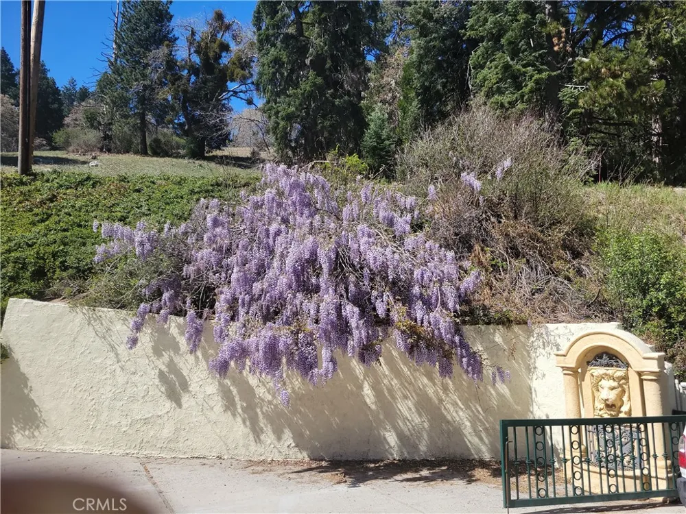 31221 Old City Creek Running Springs, CA 92382