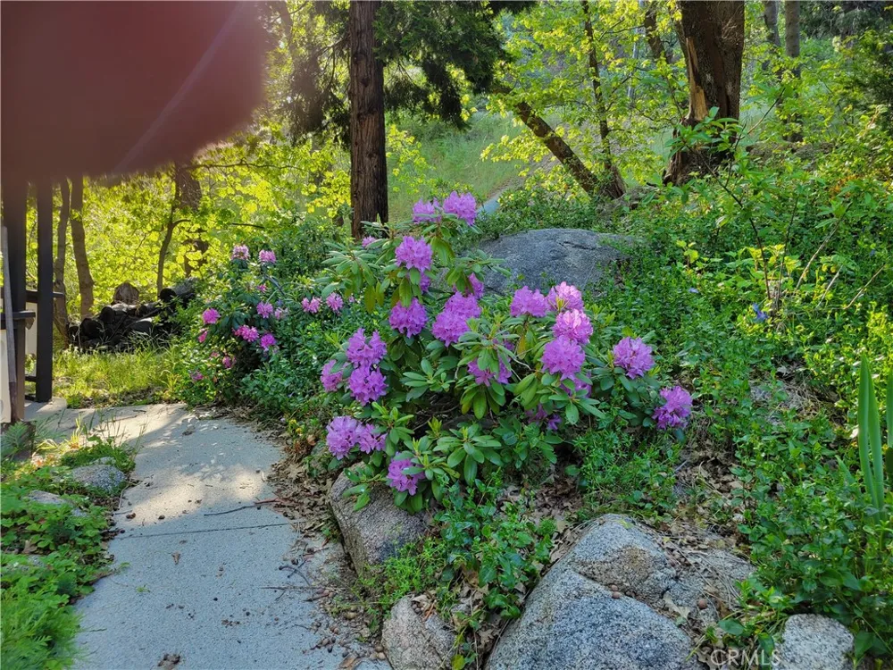 31221 Old City Creek Running Springs, CA 92382