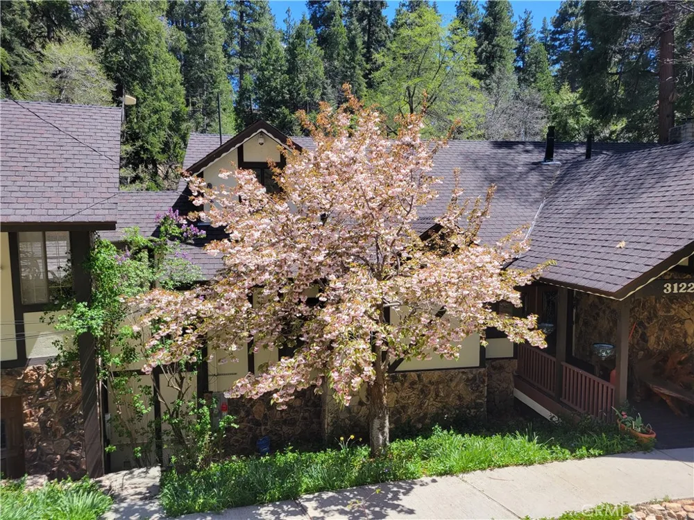 31221 Old City Creek Running Springs, CA 92382
