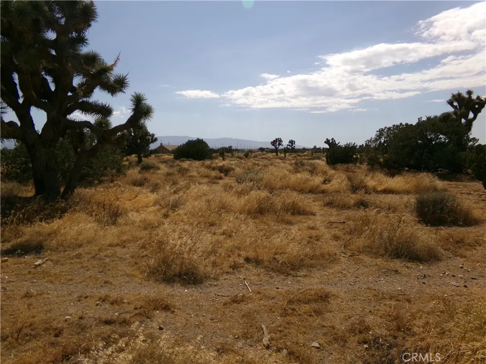 Phelan Road Phelan, CA 92371