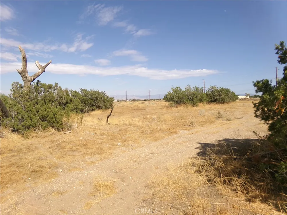 Phelan Road Phelan, CA 92371
