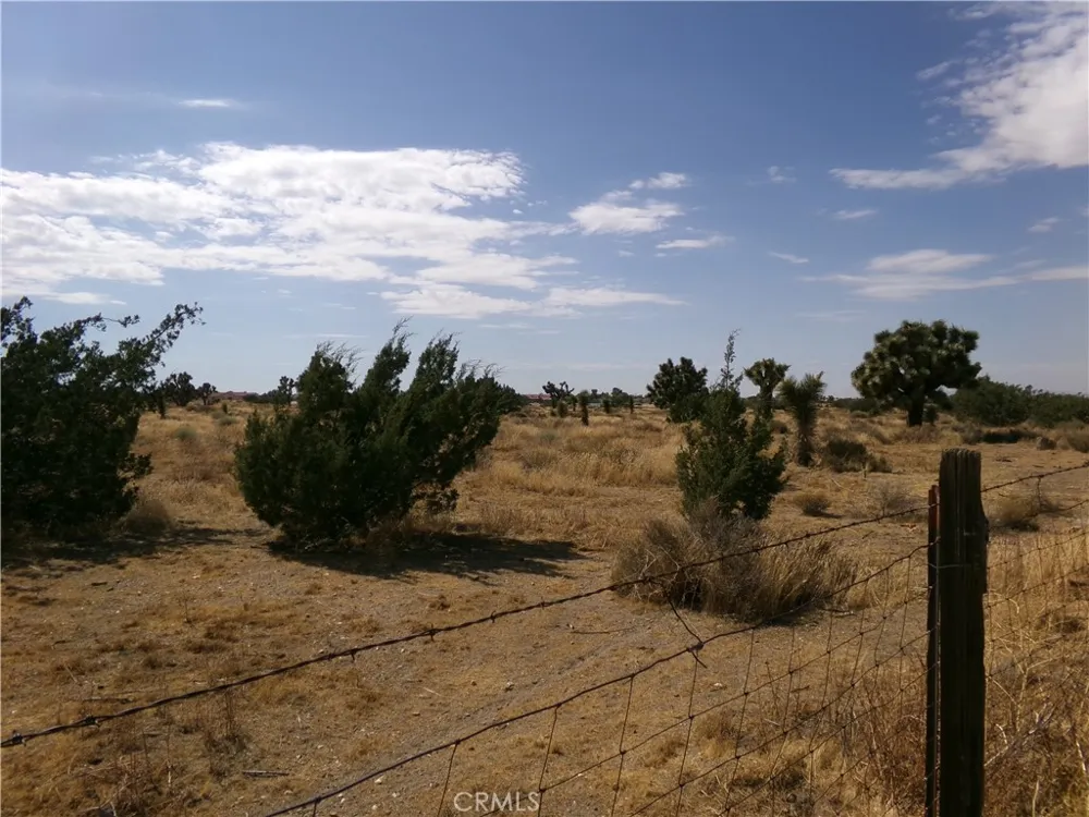 Phelan Road Phelan, CA 92371
