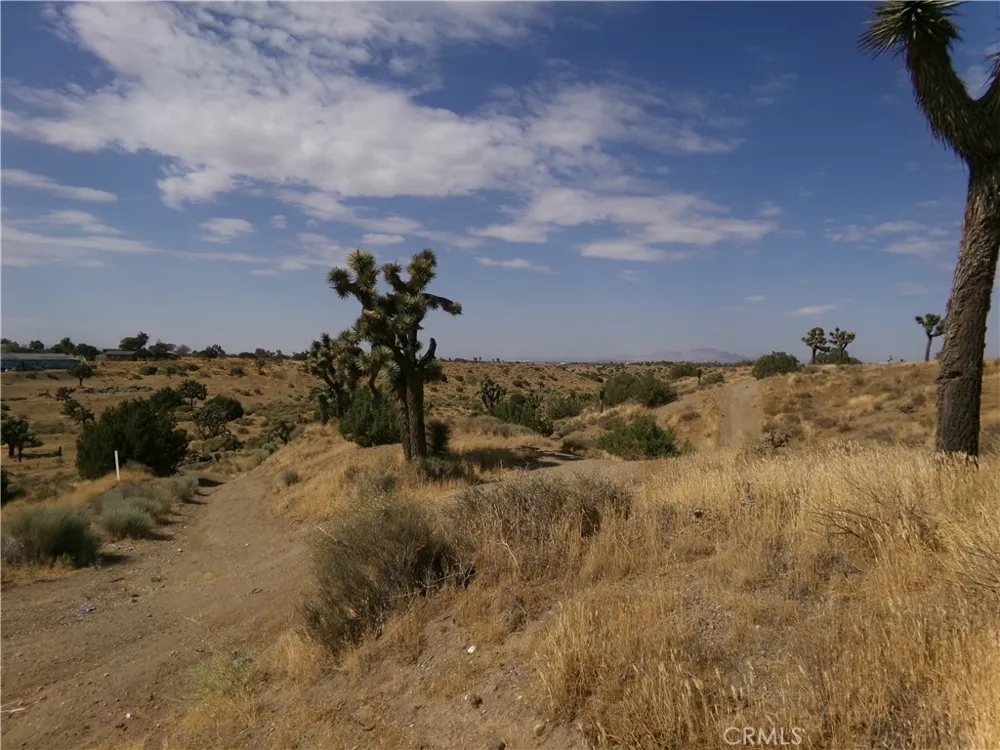Phelan Road Phelan, CA 92371
