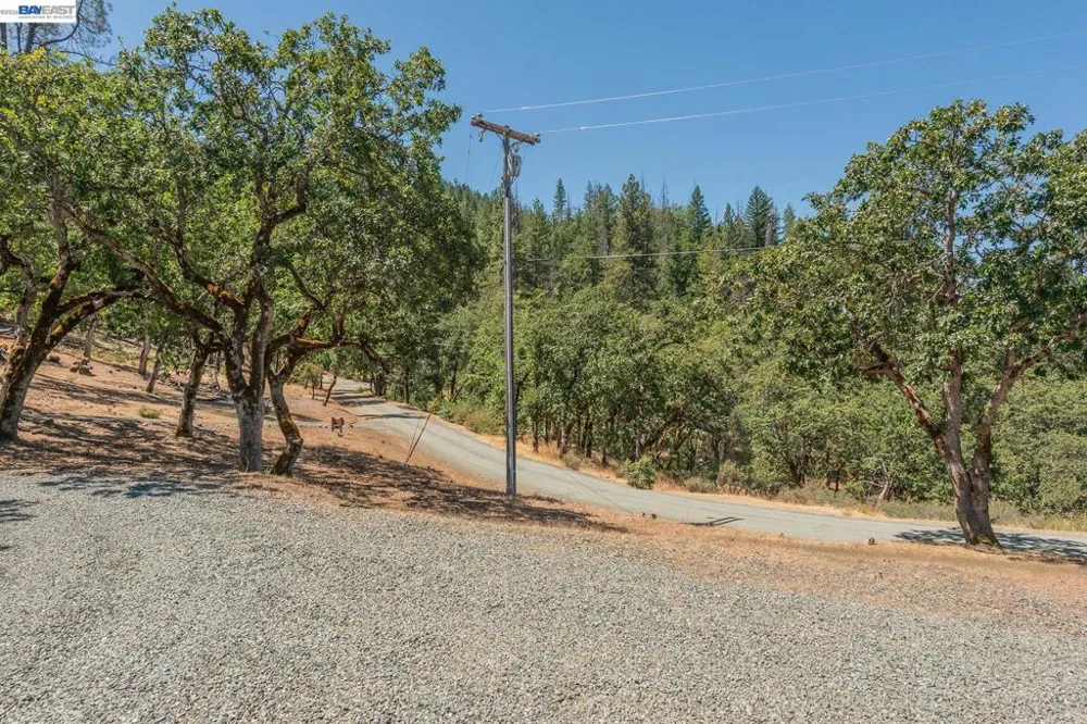 600 Top of The Grade Douglas City, CA 96024