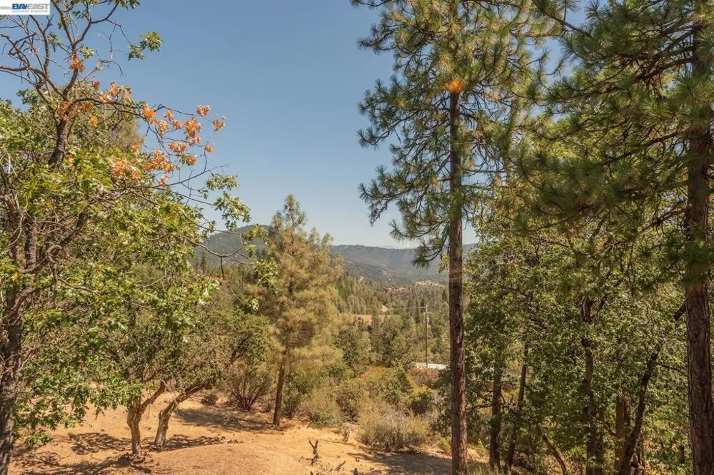 600 Top of The Grade Douglas City, CA 96024
