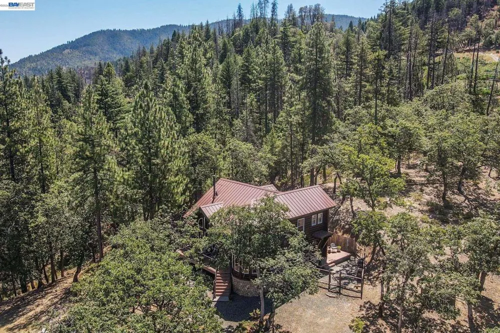 600 Top of The Grade Douglas City, CA 96024