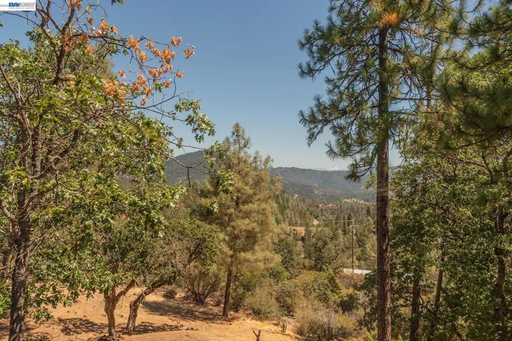 600 Top of The Grade Douglas City, CA 96024