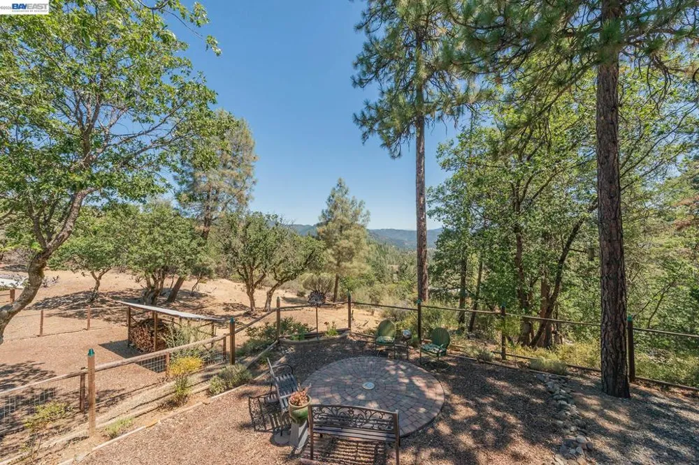 600 Top of The Grade Douglas City, CA 96024