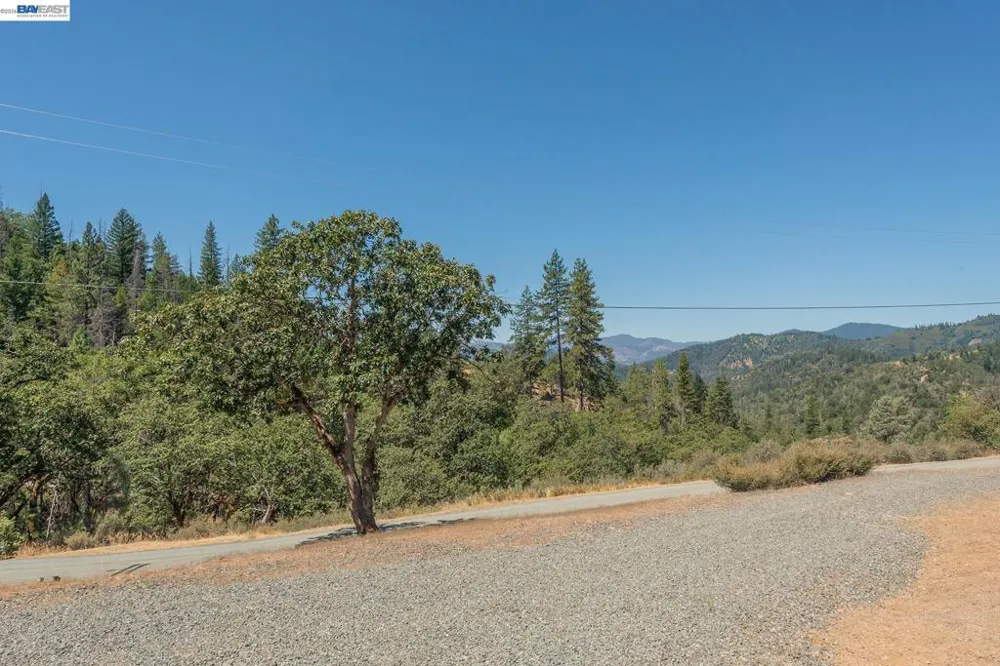 600 Top of The Grade Douglas City, CA 96024
