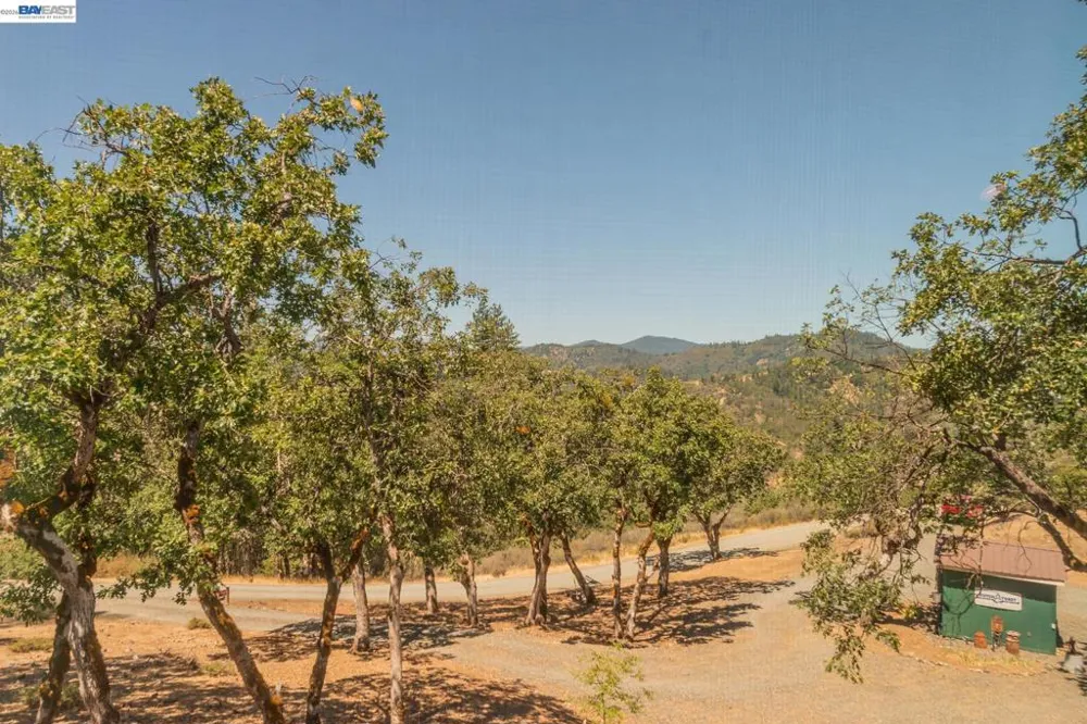 600 Top of The Grade Douglas City, CA 96024
