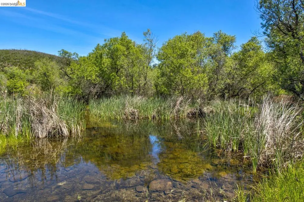 4780 Mary Harrison Mine Rd Coulterville, CA 95311