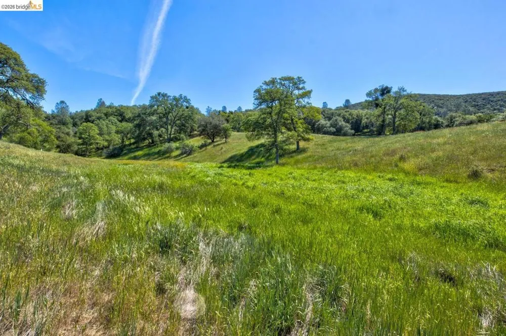4780 Mary Harrison Mine Rd Coulterville, CA 95311