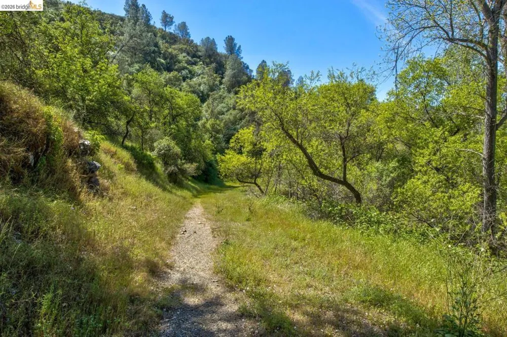 4780 Mary Harrison Mine Rd Coulterville, CA 95311