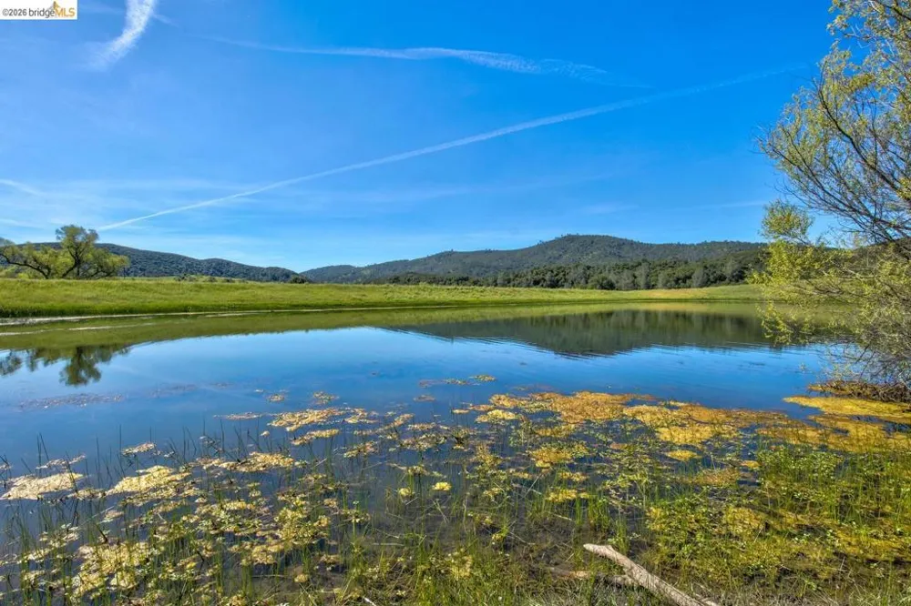 4780 Mary Harrison Mine Rd Coulterville, CA 95311