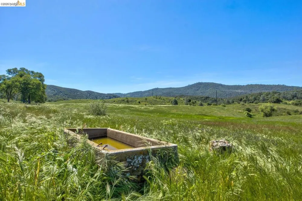 4780 Mary Harrison Mine Rd Coulterville, CA 95311