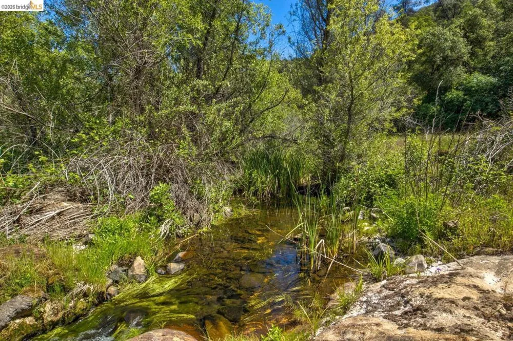 4780 Mary Harrison Mine Rd Coulterville, CA 95311