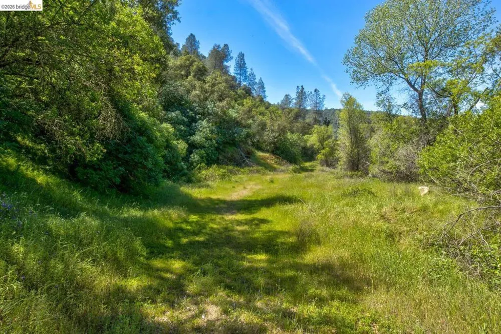 4780 Mary Harrison Mine Rd Coulterville, CA 95311